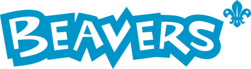 beaver_rgb_blue_linear